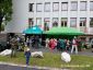De Preovskho samosprvneho kraja